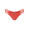 BAY AURA Bottom Zinnia